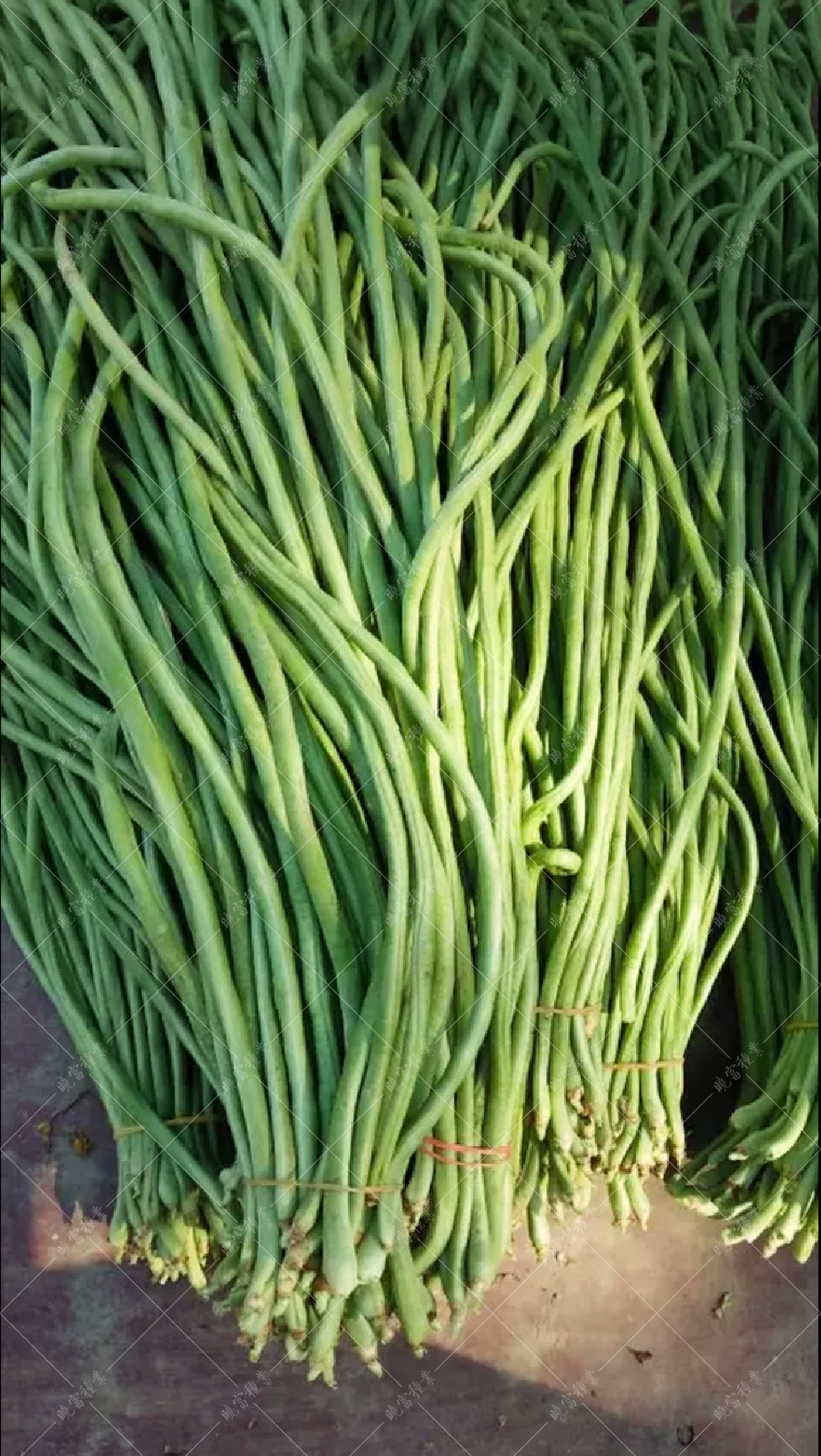 1558056950198366.jpg 52.jpg