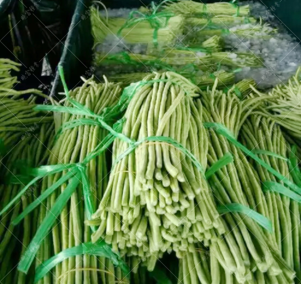 1558056970272151.jpg 164685864860101304.jpg